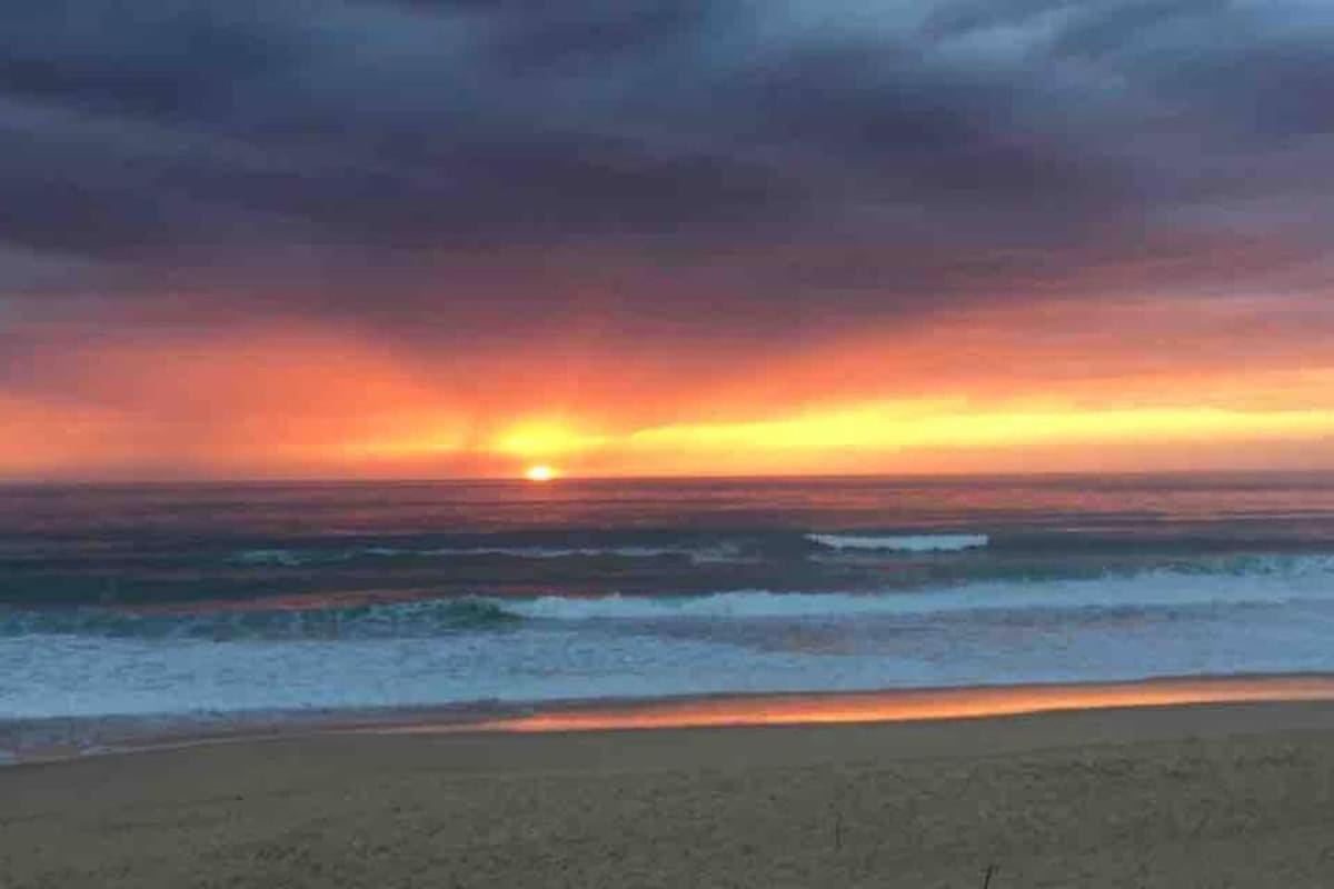 La Graviere, Cozy Studio Wifi & Parking 20M Ocean Surf Plage Сорт-Осгор Экстерьер фото